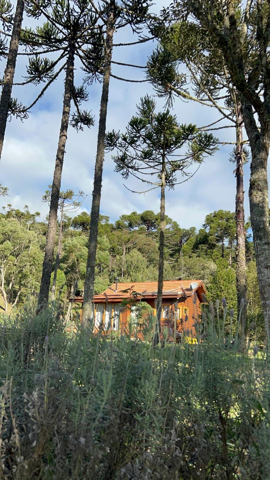 Cabana Do Lenhador - Urubici, Sc Exterior photo