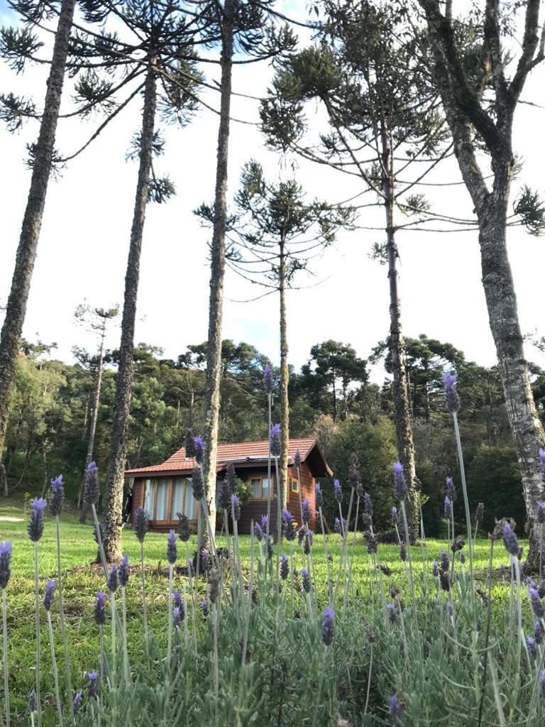 Cabana Do Lenhador - Urubici, Sc Exterior photo